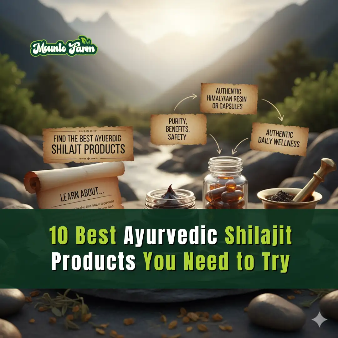Read more about the article 10 Best Ayurvedic Shilajit Products You Need to Try