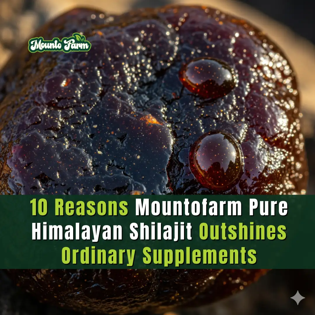 Read more about the article 10 Reasons Mountofarm Pure Himalayan Shilajit Outshines Ordinary Supplements