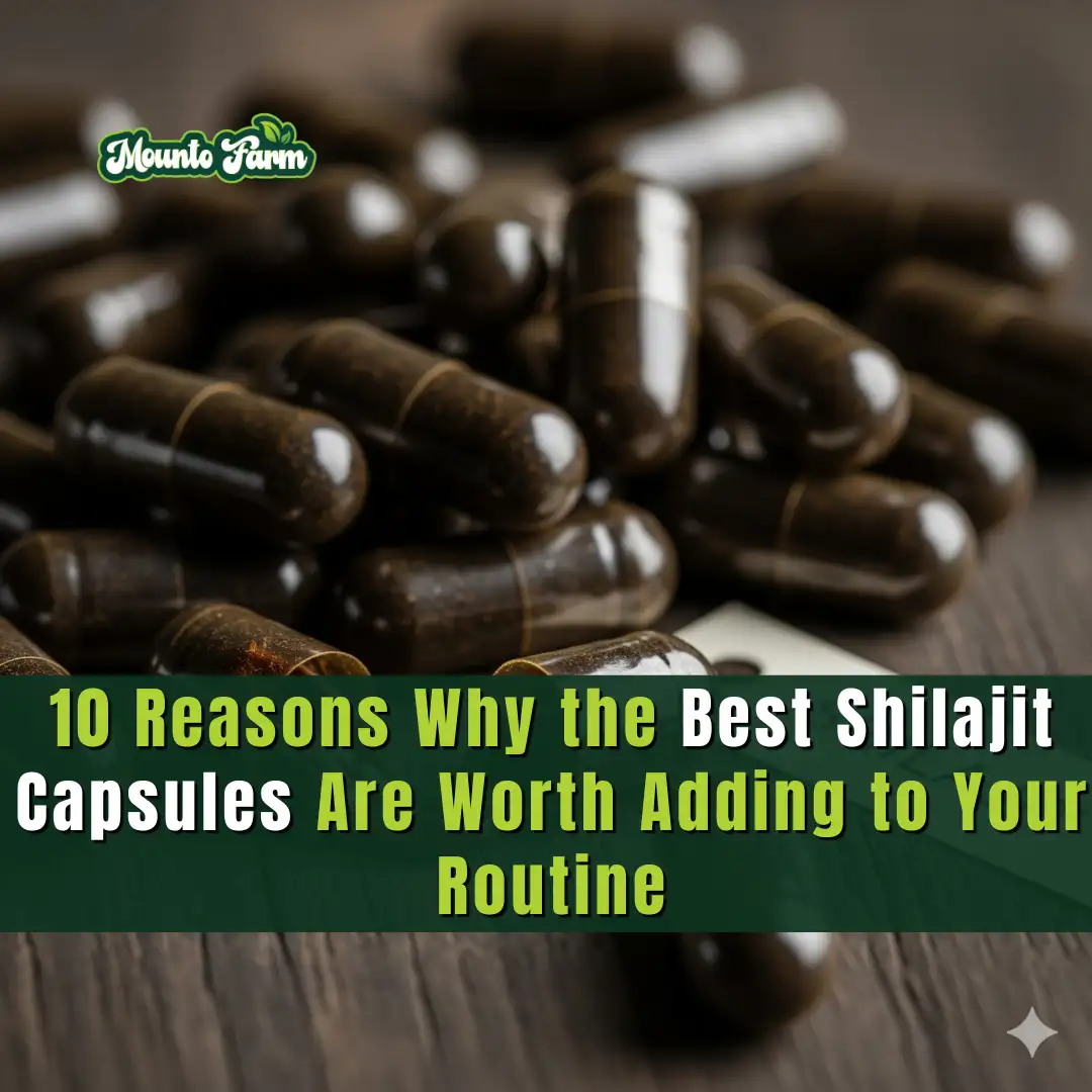 Read more about the article 10 Reasons Why the Best Shilajit Capsules Are Worth Adding to Your Routine