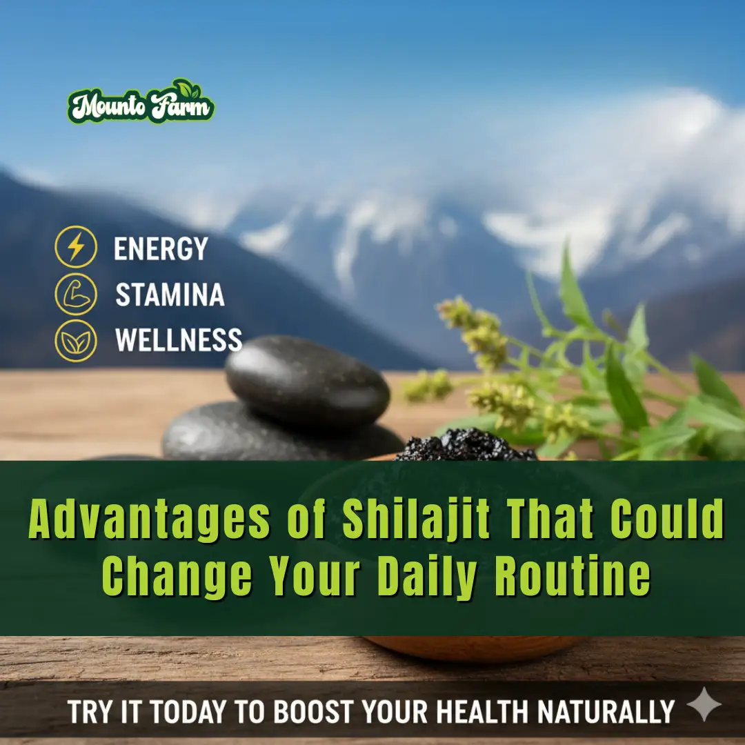 Read more about the article Advantages of Shilajit That Could Change Your Daily Routine