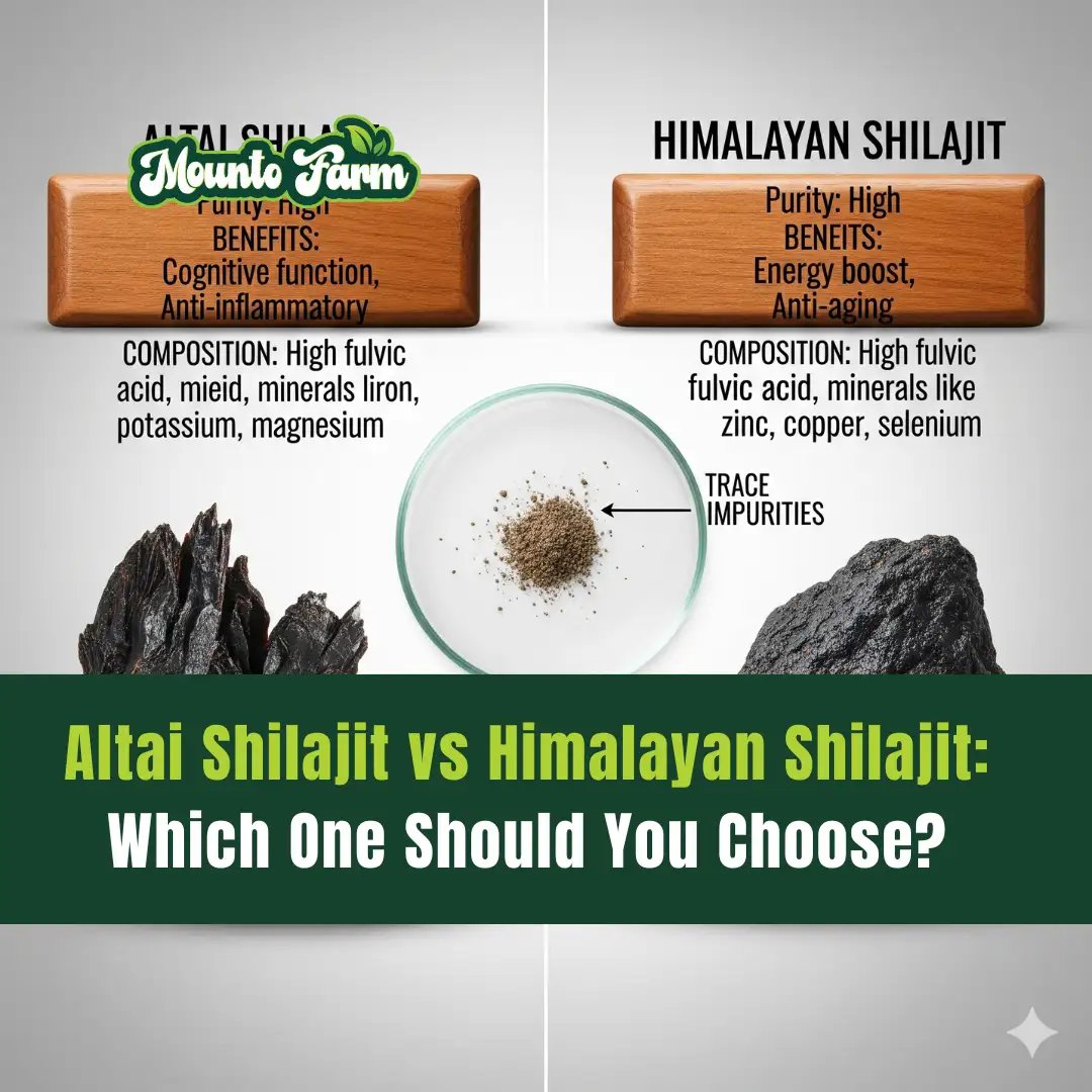 Altai Shilajit vs Himalayan Shilajit: Which One Should You Choose?