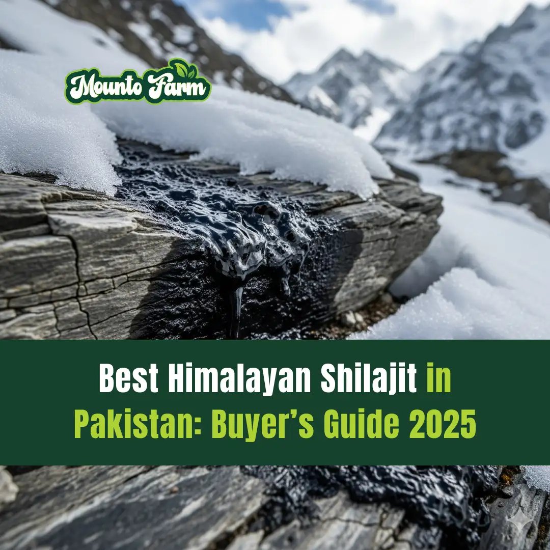 Read more about the article Best Himalayan Shilajit in Pakistan: Buyer’s Guide 2025