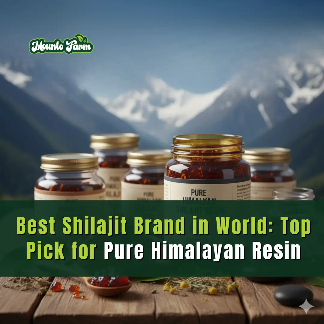 Read more about the article Best Shilajit Brand in World: Top Pick for Pure Himalayan Resin