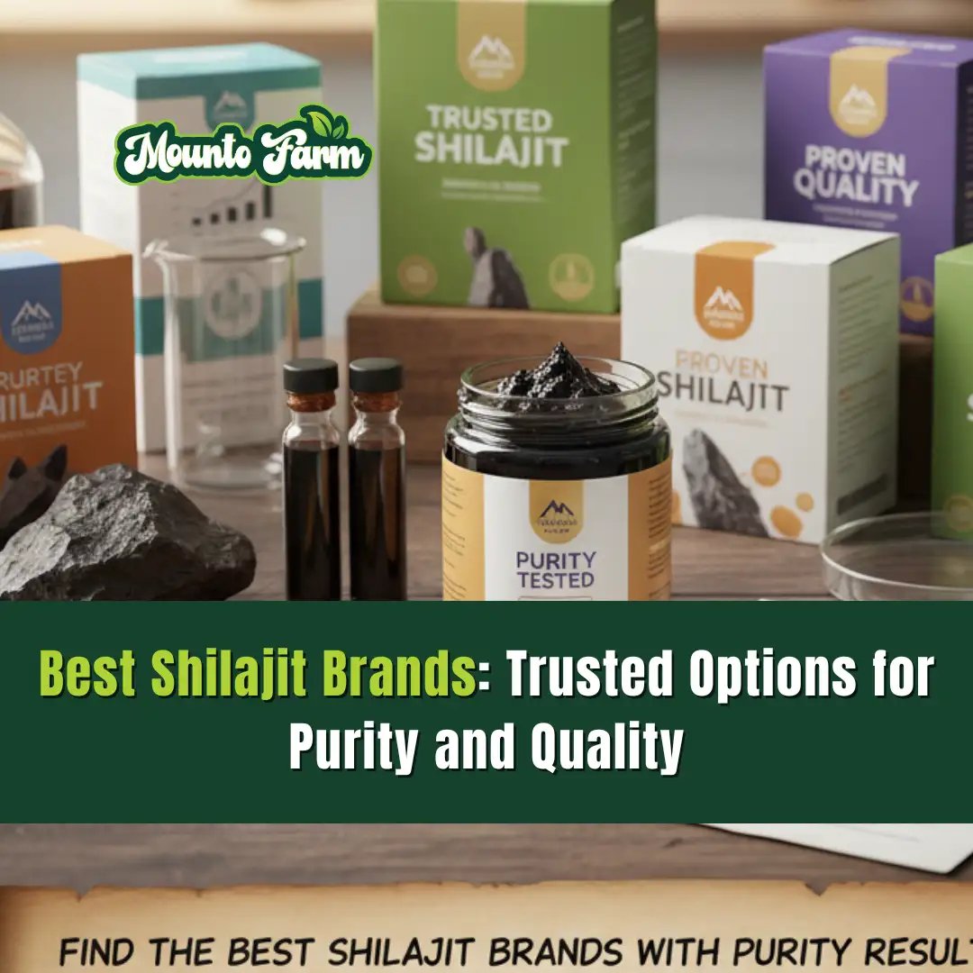 Best Shilajit Brands Trusted Options for Purity and Quality