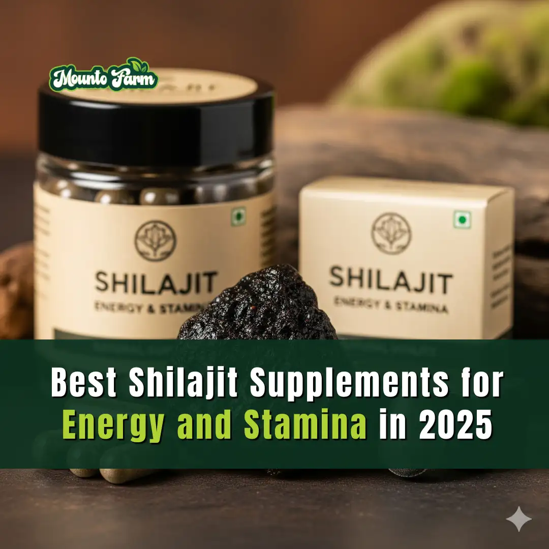 Read more about the article Best Shilajit Supplements for Energy and Stamina in 2025