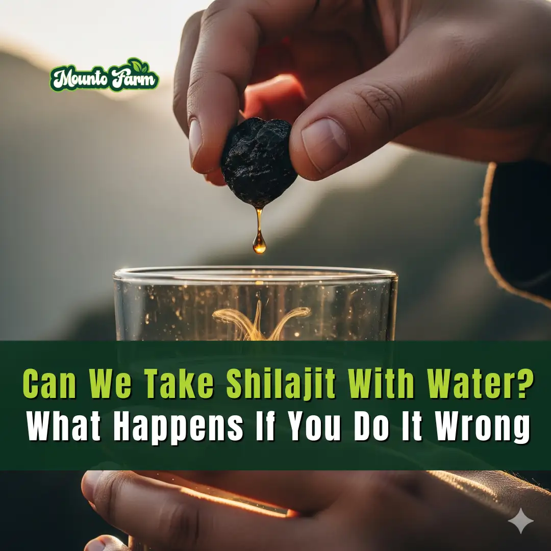 Read more about the article Can We Take Shilajit With Water? What Happens If You Do It Wrong