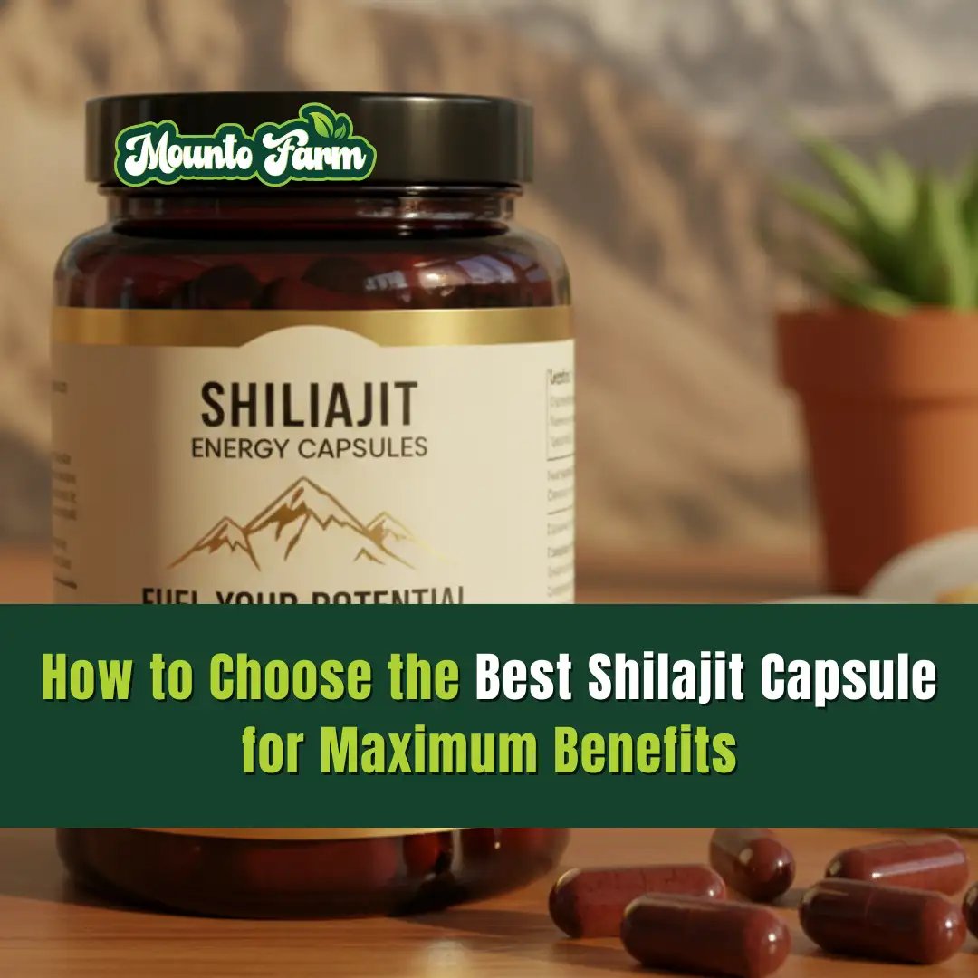 How to Choose the Best Shilajit Capsule for Maximum Benefits