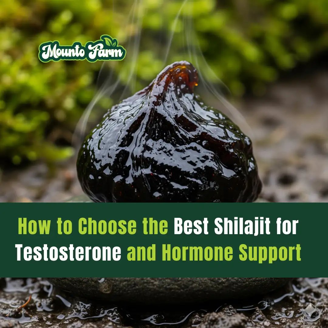 How to Choose the Best Shilajit for Testosterone and Hormone Support