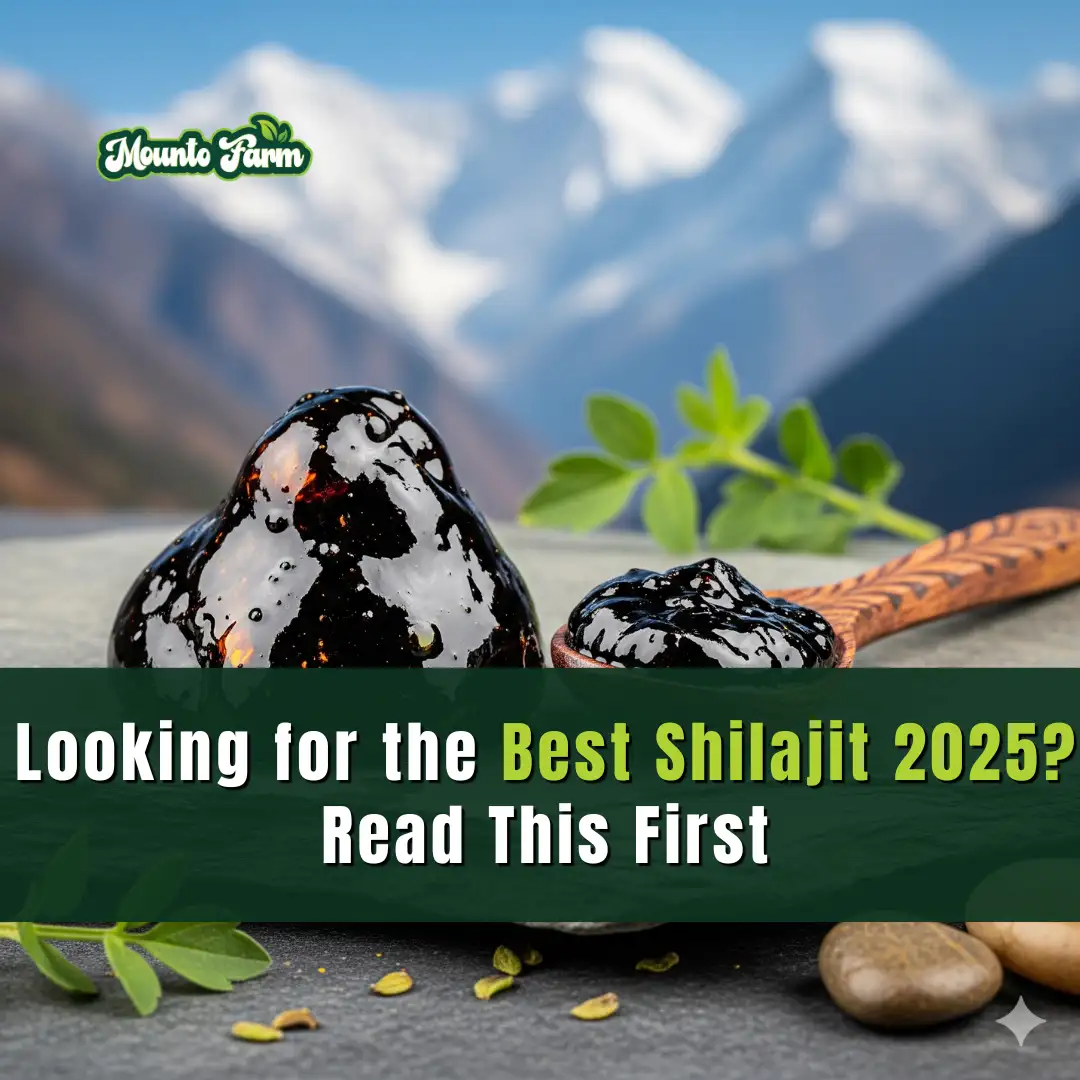 Read more about the article Looking for the Best Shilajit 2025? Read This First