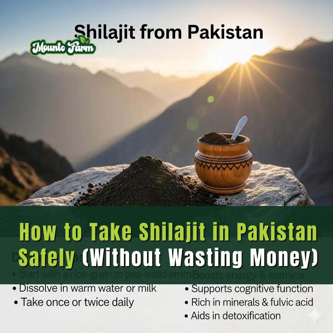 Read more about the article How to Take Shilajit in Pakistan Safely (Without Wasting Money)
