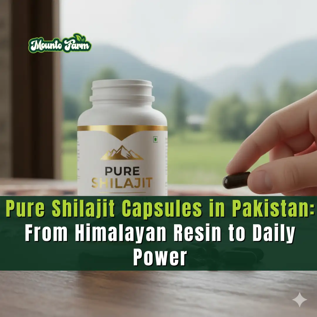 Read more about the article Pure Shilajit Capsules in Pakistan: From Himalayan Resin to Daily Power
