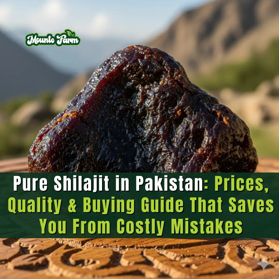 Read more about the article Pure Shilajit in Pakistan: Prices, Quality & Buying Guide That Saves You From Costly Mistakes