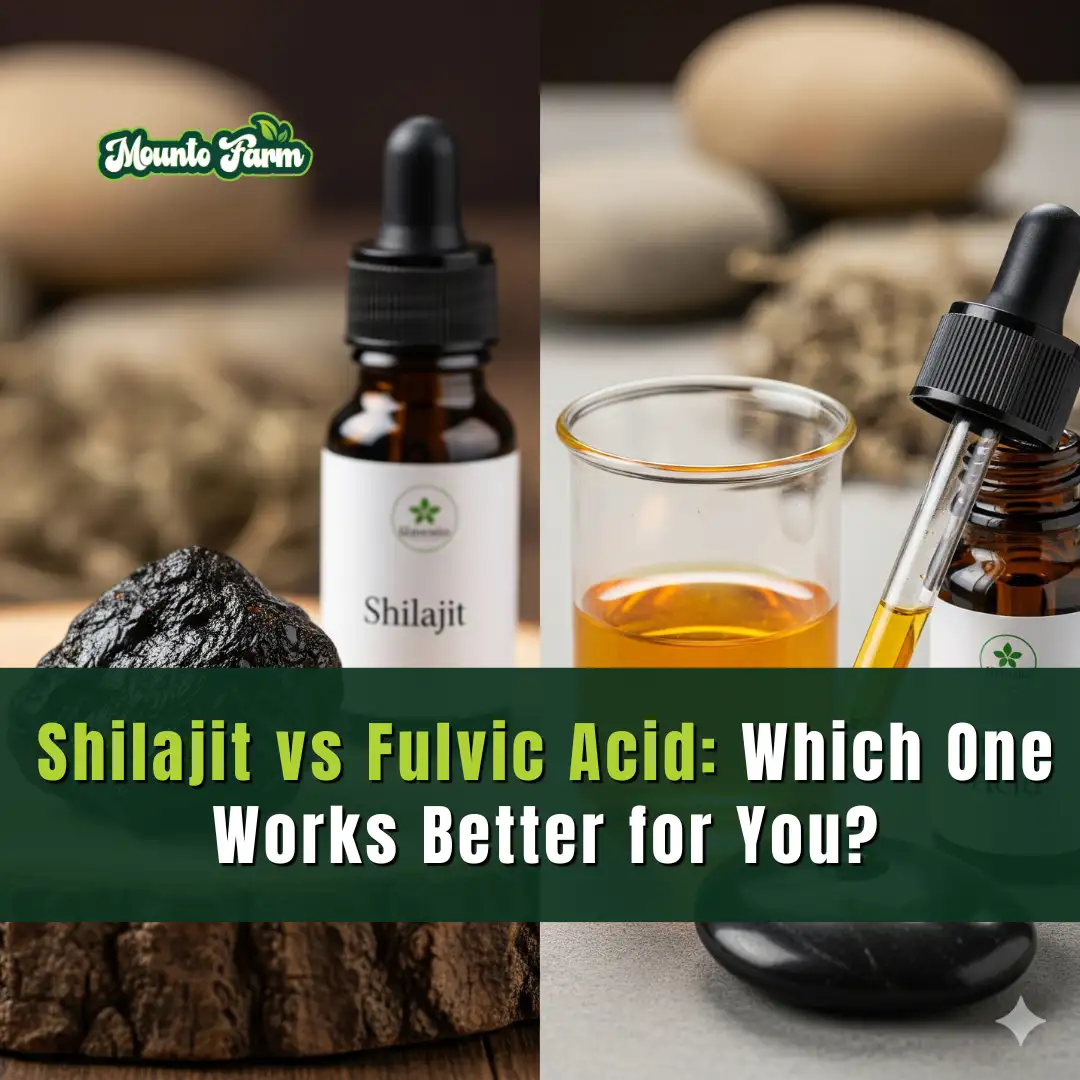 Read more about the article Shilajit vs Fulvic Acid: Which One Works Better for You?