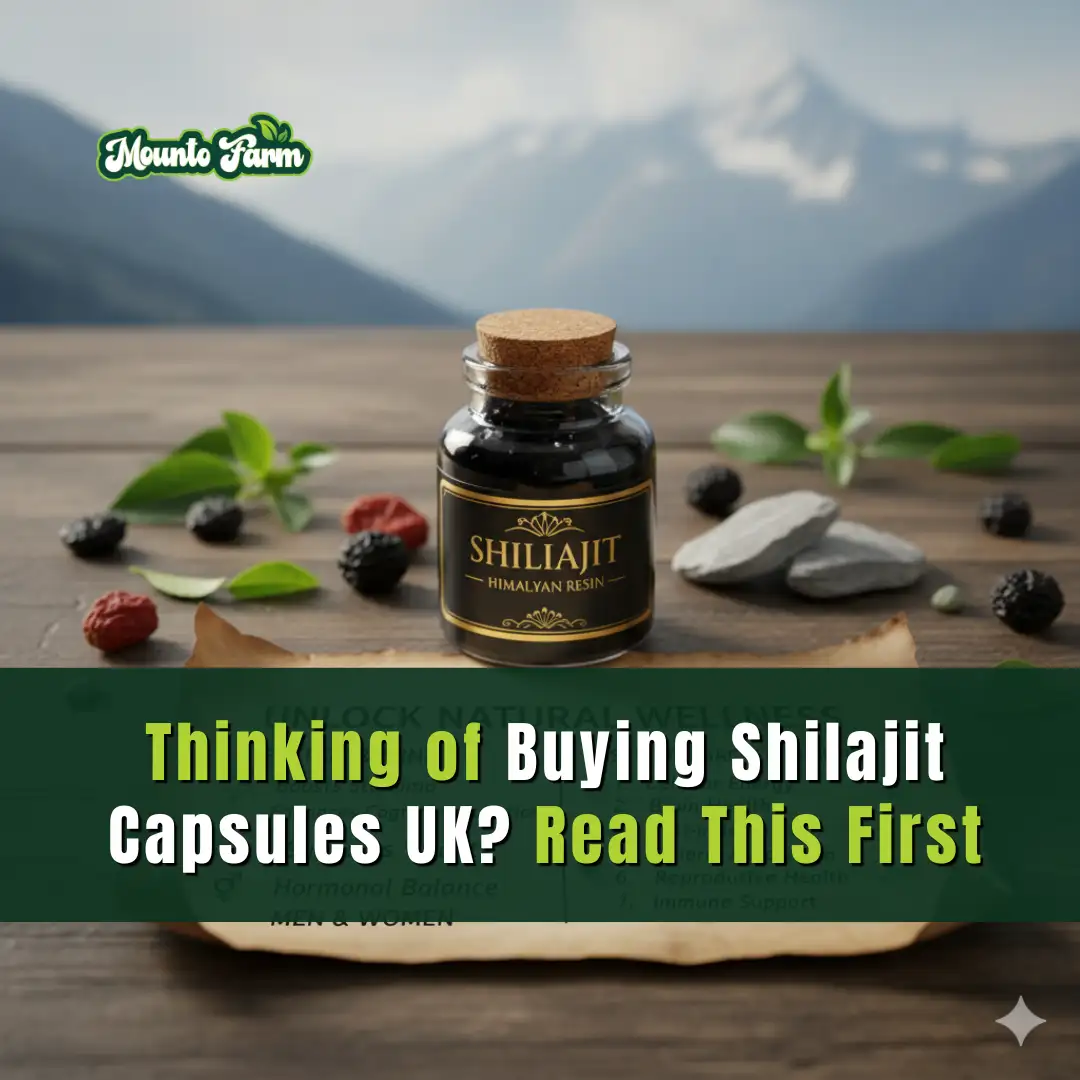 Read more about the article Thinking of Buying Shilajit Capsules UK? Read This First