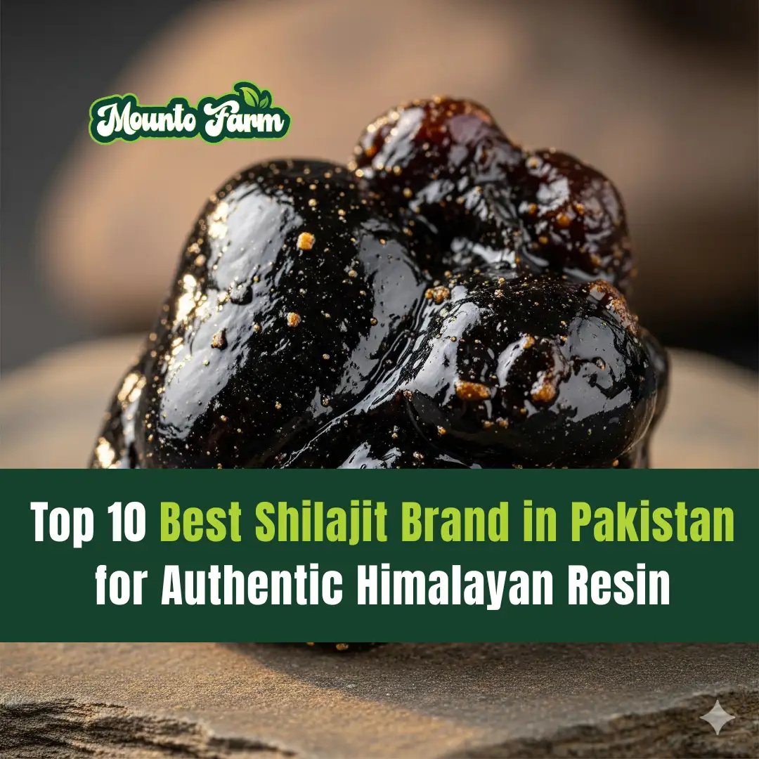 Top 10 Best Shilajit Brand in Pakistan for Authentic Himalayan Resin