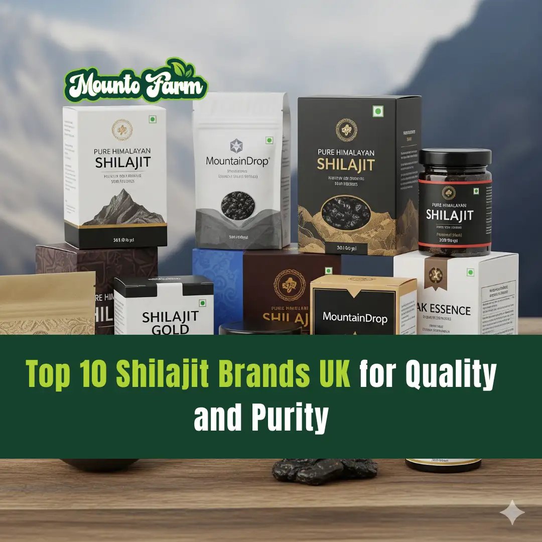 Top 10 Shilajit Brands UK for Quality and Purity