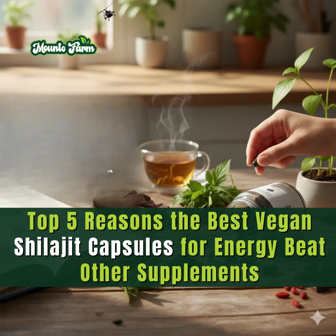 Read more about the article Top 5 Reasons the Best Vegan Shilajit Capsules for Energy Beat Other Supplements