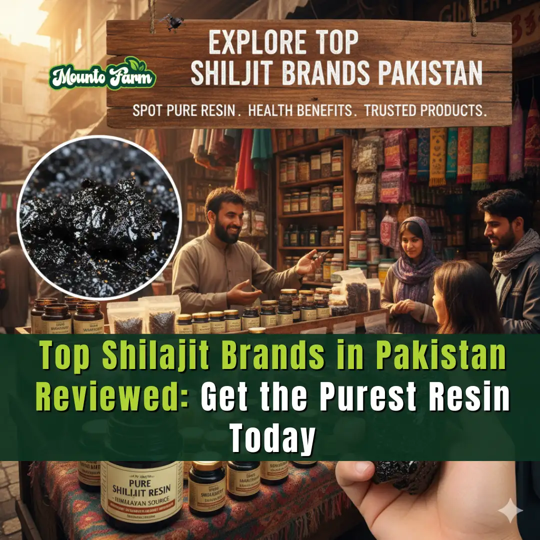 Read more about the article Top Shilajit Brands in Pakistan Reviewed: Get the Purest Resin Today