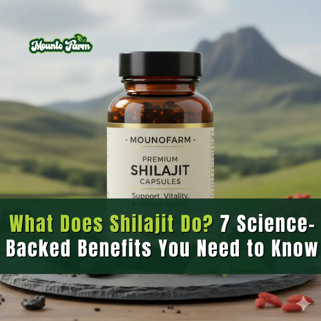 Read more about the article What Does Shilajit Do? 7 Science-Backed Benefits You Need to Know