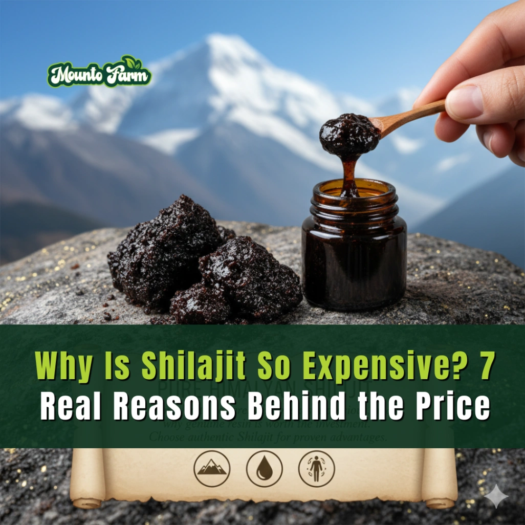 Read more about the article Why Is Shilajit So Expensive? 7 Real Reasons Behind the Price