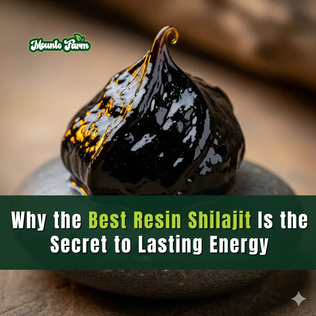 Read more about the article Why the Best Resin Shilajit Is the Secret to Lasting Energy