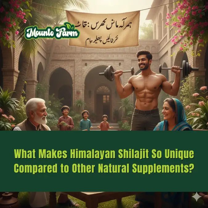 himalayan shilajit