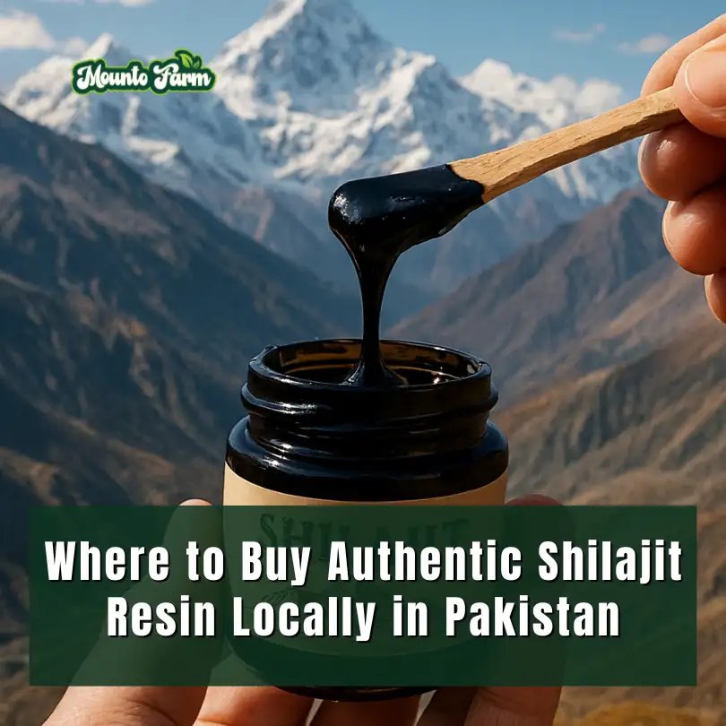 Read more about the article Where to Buy Authentic Shilajit Resin Locally in Pakistan