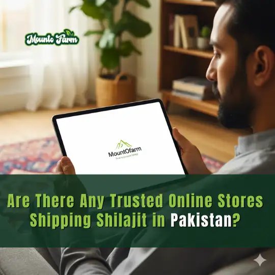 Read more about the article Are There Any Trusted Online Stores Shipping Shilajit in Pakistan?