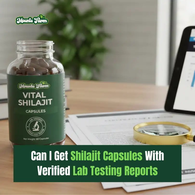 Read more about the article Can I Get Shilajit Capsules With Verified Lab Testing Reports?