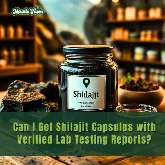 Read more about the article Can I Get Shilajit Capsules with Verified Lab Testing Reports