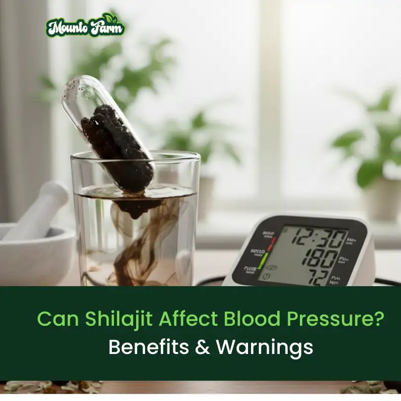 Read more about the article Can Shilajit Affect Blood Pressure? Benefits & Warnings