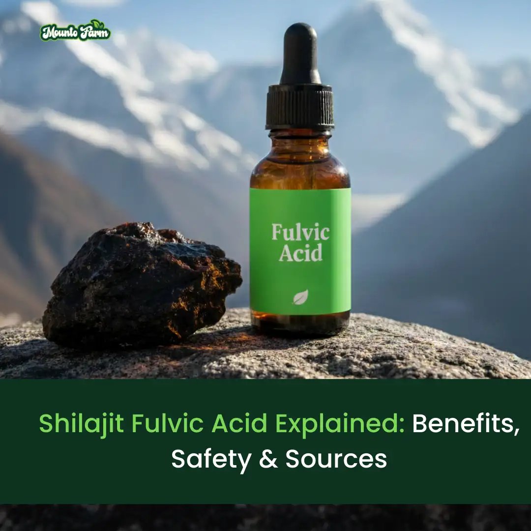 Read more about the article Shilajit Fulvic Acid Explained: Benefits, Safety & Sources
