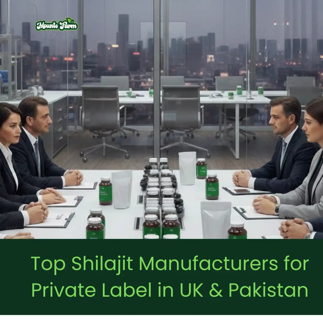 Read more about the article Top Shilajit Manufacturers for Private Label in UK & Pakistan