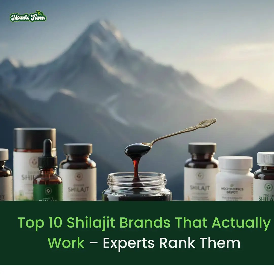 Read more about the article Top 10 Shilajit Brands That Actually Work – Experts Rank Them