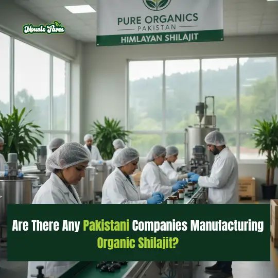 oraganic shilajit in Pakistan