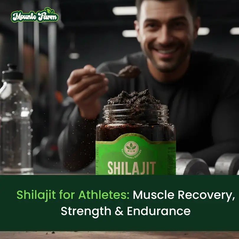 Shilajit for Athletes