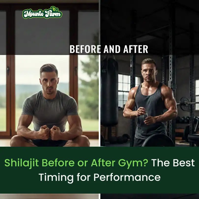 Read more about the article Shilajit Before or After Gym? The Best Timing for Performance