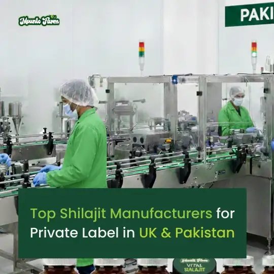 Read more about the article Top Shilajit Manufacturers for Private Label in UK & Pakistan