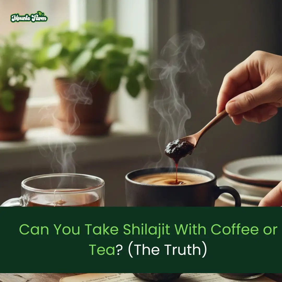 Can You Take Shilajit With Coffee or Tea
