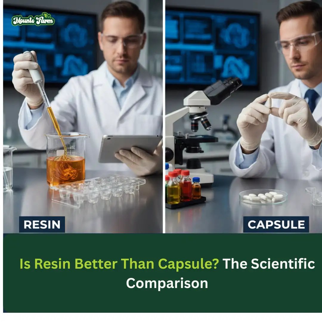 Is Resin Better Than Capsule