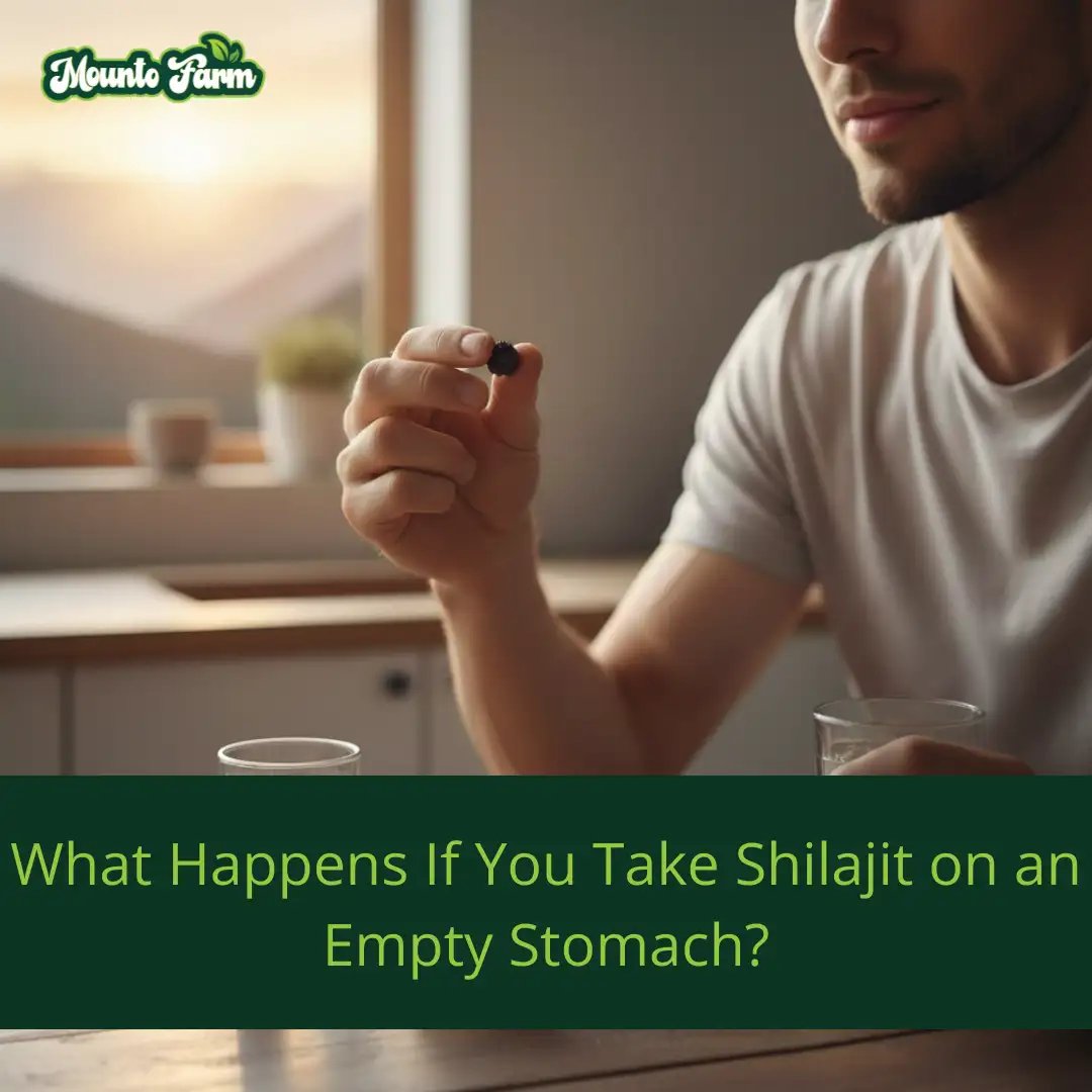 What Happens If You Take Shilajit on an Empty Stomach