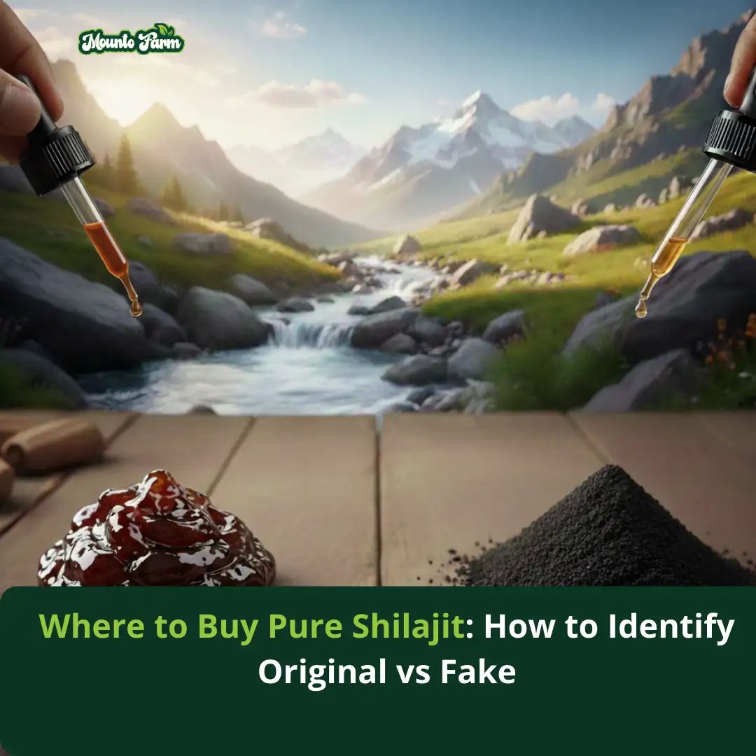 Where to Buy Pure Shilajit