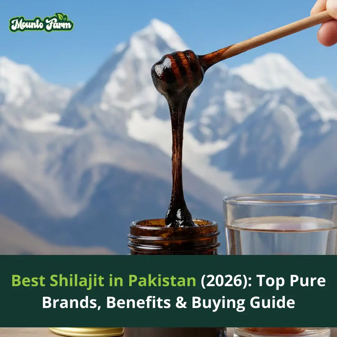 Best Shilajit in Pakistan