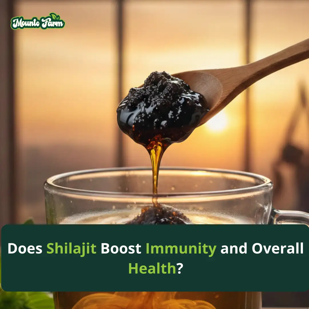 Read more about the article Does Shilajit Boost Immunity and Overall Health?