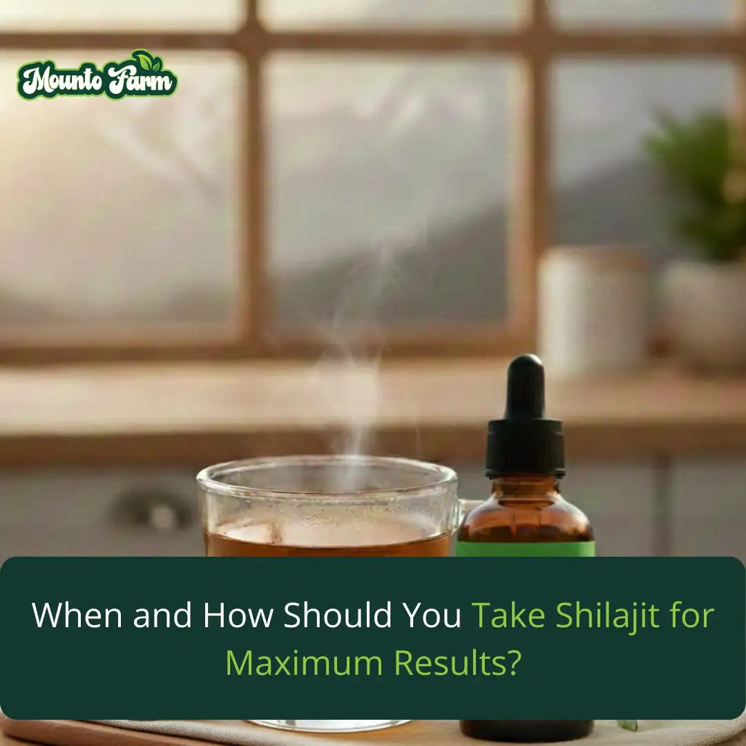 Read more about the article When and How Should You Take Shilajit for Maximum Results?