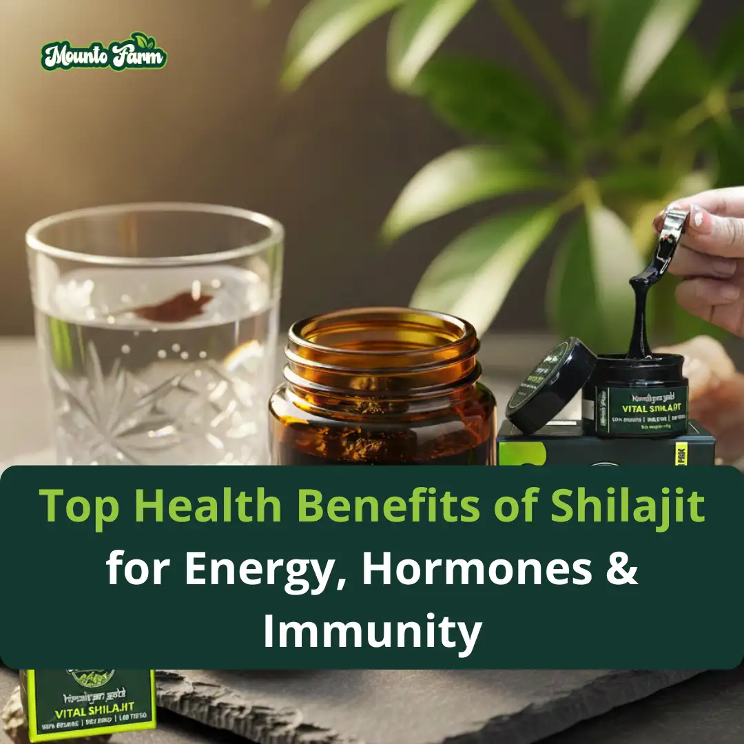 Read more about the article Top Health Benefits of Shilajit for Energy, Hormones & Immunity
