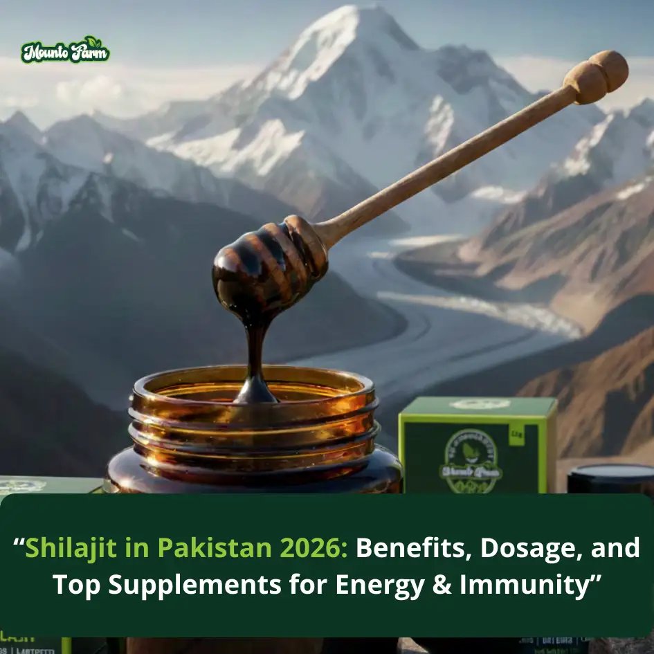 Shilajit in Pakistan 2026