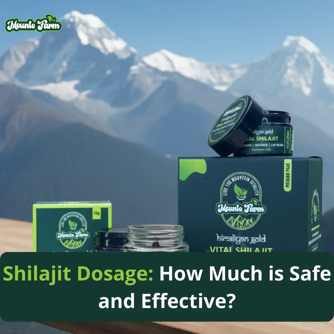 Shilajit Dosage