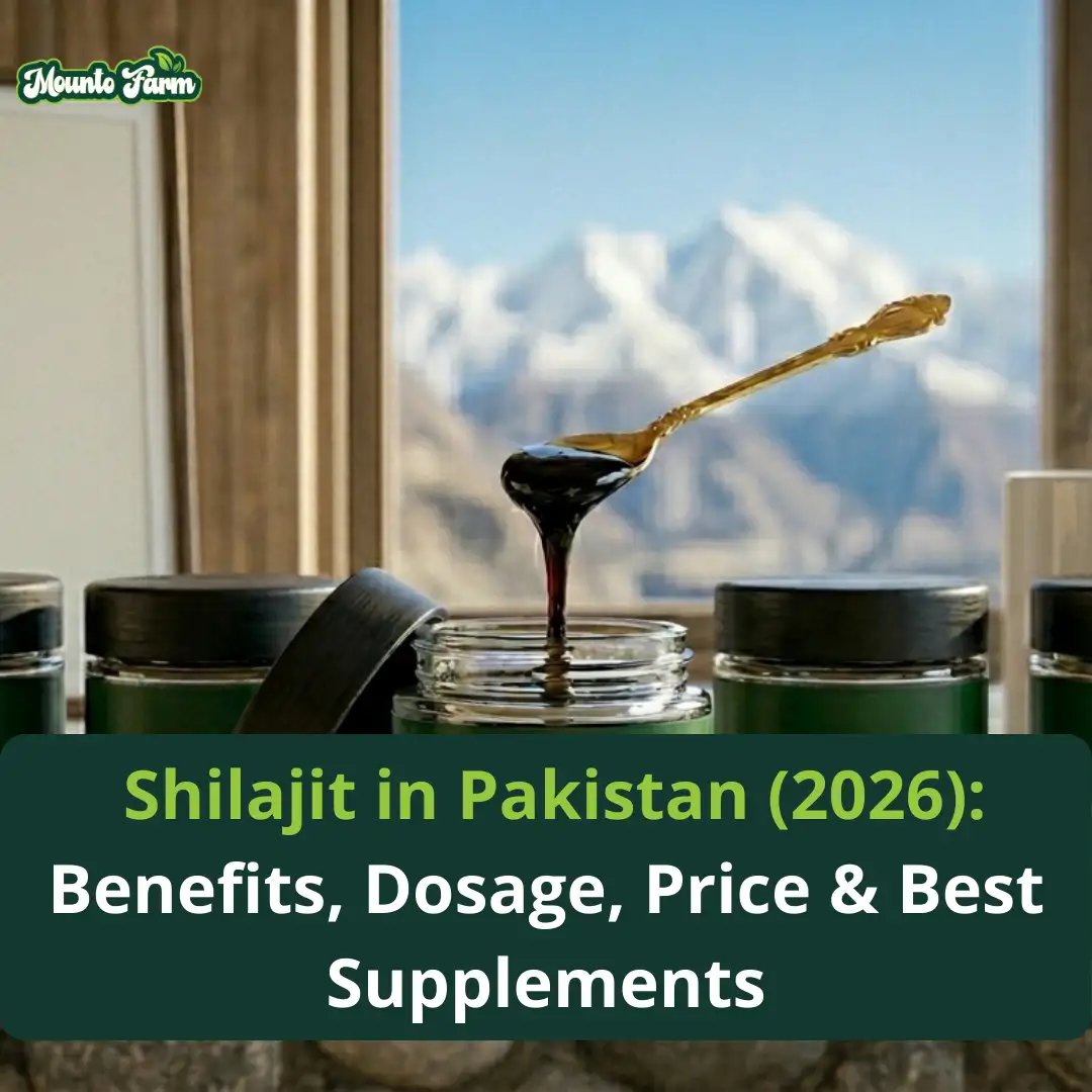 Shilajit in Pakistan 2026