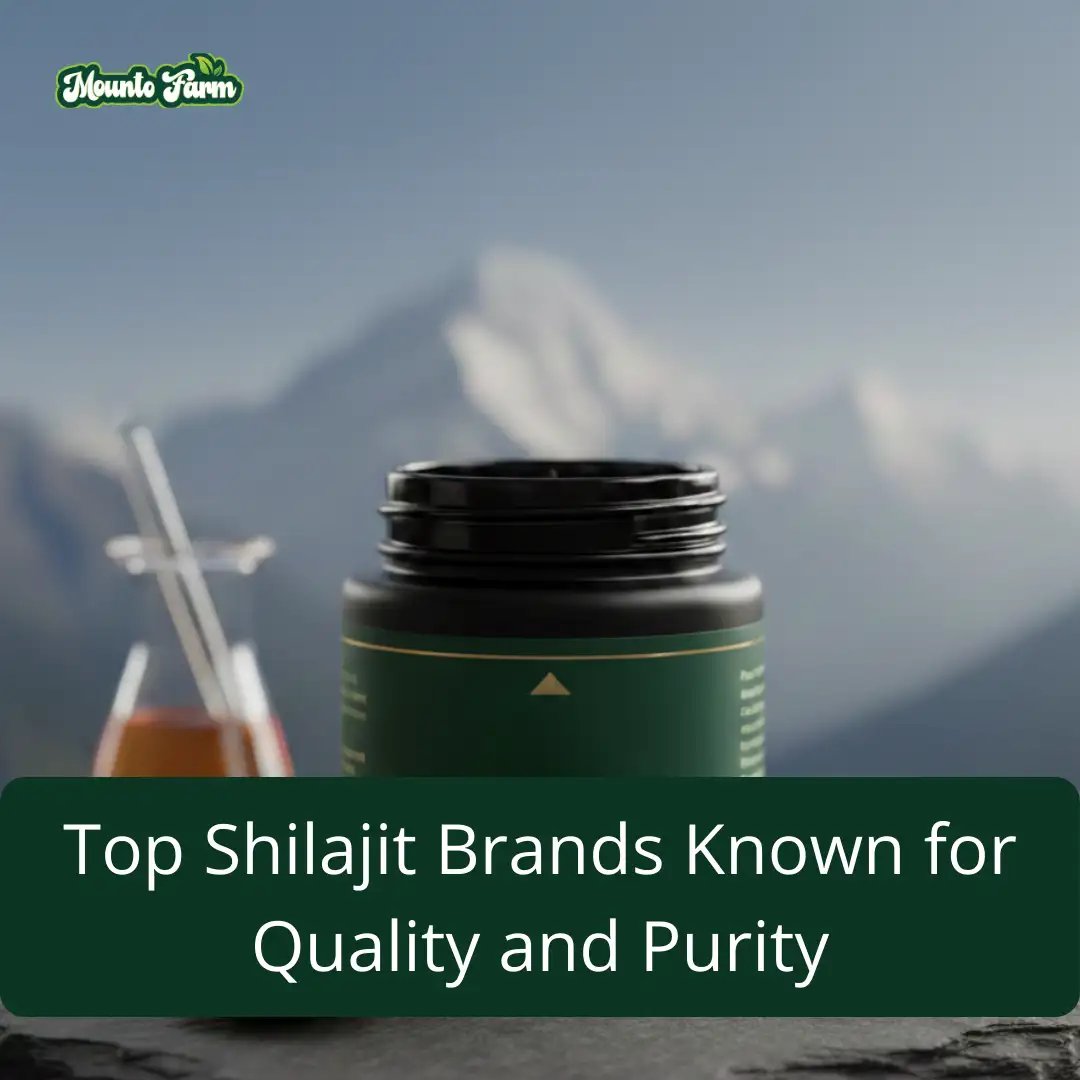 Top Shilajit Brands Known for Quality and Purity